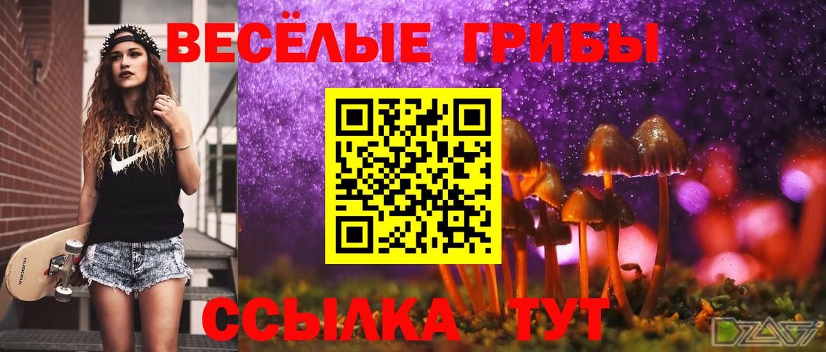 Галлюциногенные грибы Psilocybe  Вход с VPN  хочу наркоту  Славянск-на-Кубани 