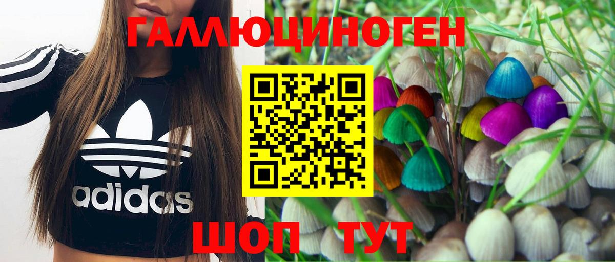 Псилоцибиновые грибы Cubensis Славянск-на-Кубани